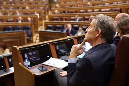 El líder del PP, Alberto Núñez Feijóo, en el Congreso de los Diputados este miércoles.