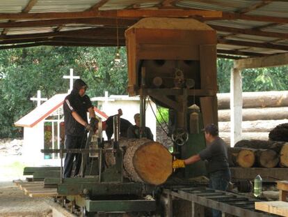 Hombres trabajan en el aserradero de Agua Bendita