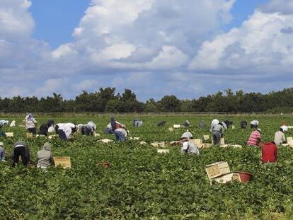 Las Pymes absorben los empleados que pierden las grandes empresas