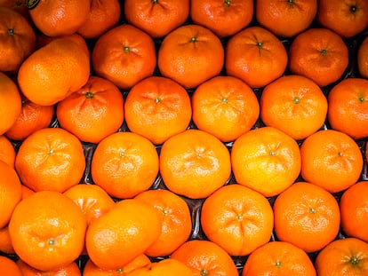 Tiempo de mandarinas