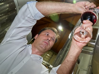 El gerente de la bodega Lyng durante el proceso de fabricación de su vino.