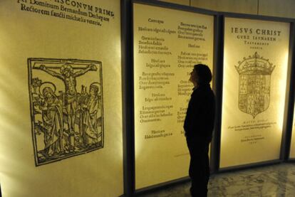 Un hombre contempla uno de los paneles informativos de la muestra del Parlamento.