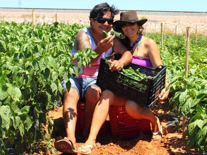 Los propietarios de la empresa Jalape&ntilde;os Tu Gitana en su huerta, en Valencia.