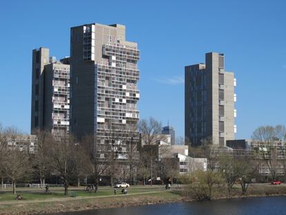 El Peabody Terrace, un edificio icónico que define el perfil de Cambridge desde el río Charles.