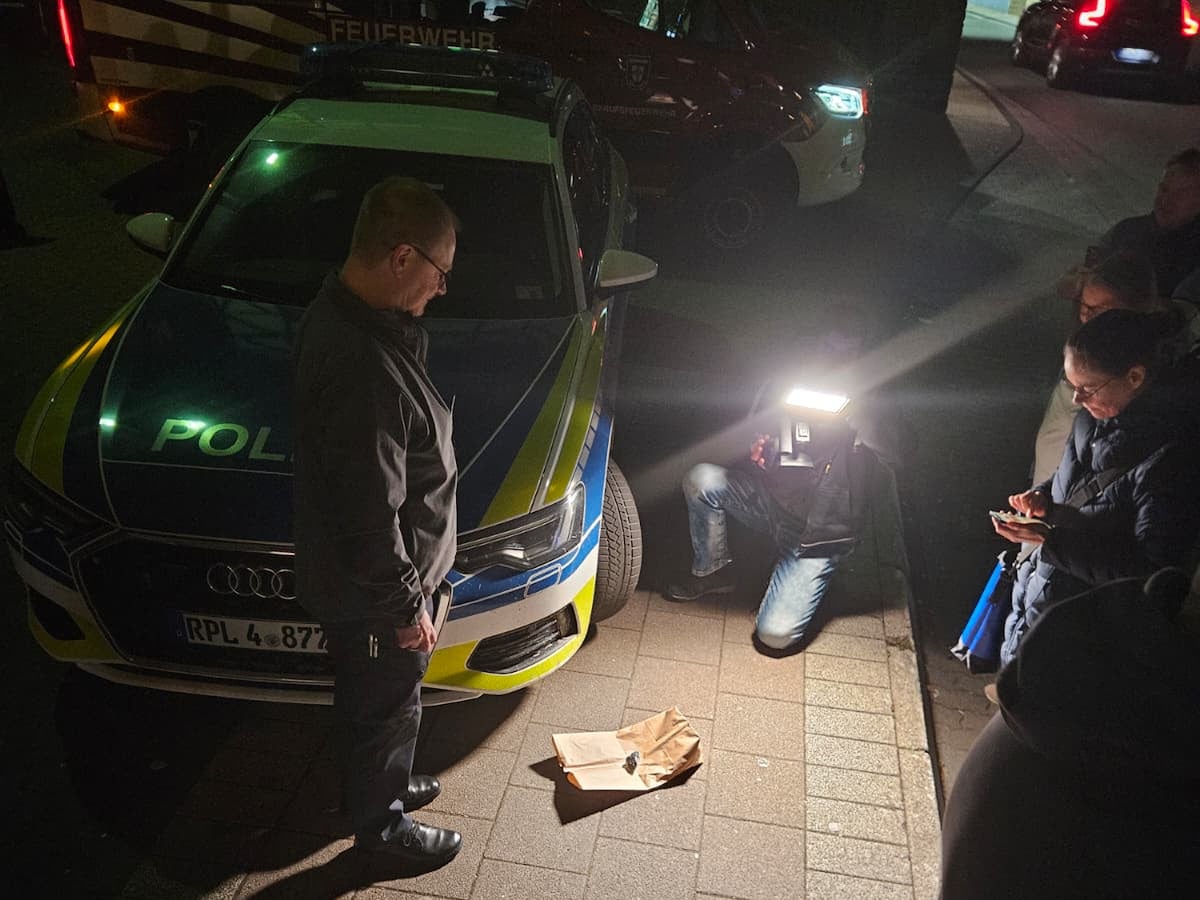 Un meteorito impacta sobre una casa en Alemania