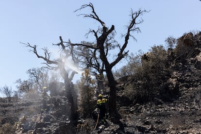 Destrozos provocados por el incendio en el pueblo de Colera (Girona), el 5 de agosto.