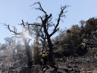 Destrozos provocados por el incendio en el pueblo de Colera (Girona), el 5 de agosto.