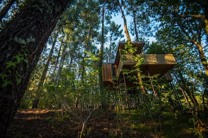 Este alojamiento en la naturaleza, disperso en cuatro fincas del municipio de Outes, en el interior de la ría gallega de Muros e Noia, nació en 2013 bajo dos premisas: calidad arquitectónica y respeto ecológico al entorno que lo envuelve. Cuenta con 22 cabañas suspendidas sobre pilares de madera (algunas frente a la costa), cuyas terrazas, en algunos casos, abrazan los árboles entre los que se levantan. Con una altura media de cuatro metros, tienen equipamiento completo (baño, calefacción, cocina e incluso jacuzzi, interior o exterior) y limpieza diaria de habitación. El complejo ha elaborado rutas temáticas de senderismo que invitan a recorrer los alrededores, desde el bosque autóctono gallego a observatorios paisajísticos como el cercano alto das Sete Fontes. Precio: entre 99 y 160 euros la noche. <a href="https://cabanitasdelbosque.com/es" target="_blank">cabanitasdelbosque.com</a>