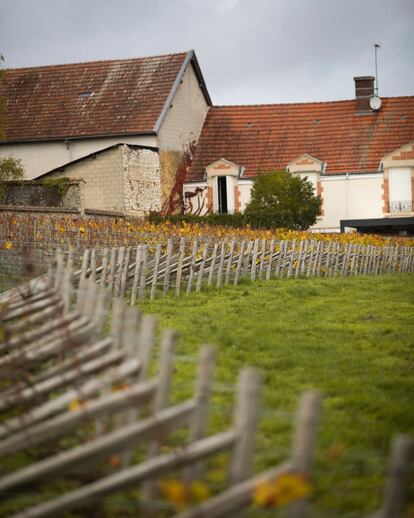 El Clos du Mesnil, en la localidad francesa de Le Mesnil-sur-Oger, de donde sale el Krug Clos du Mesnil, una
leyenda entre los champanes. 
