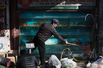 Un hombre espera a que acudan clientes en su puesta de venta de pescado en Pekín, China.