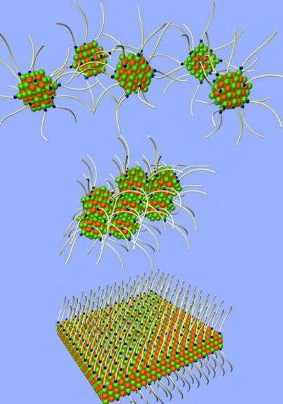 Proceso de formación de una estructura cristalina de nanopartículas que se autoensamblan en presencia de moléculas orgánicas.