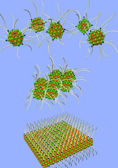 Proceso de formación de una estructura cristalina de nanopartículas que se autoensamblan en presencia de moléculas orgánicas.