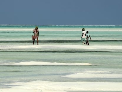 Playas de Jambiani, Zanz&iacute;bar (Tanzania).