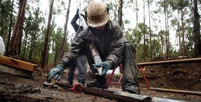 Empleados de Edgewater en los terrenos de Corcoesto