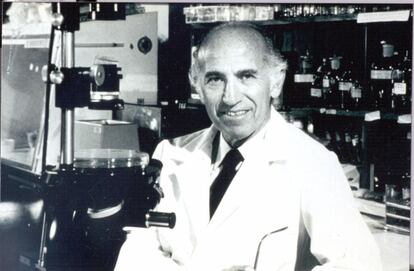 Imagen de archivo de Jonas Salk, quien desarrolló la primera vacuna contra la poliomielitis segura y efectiva, en el laboratorio en el que trabajaba.