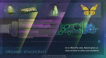 Una de las transparencias de la presentación explora una nave capaz de realizar una metamorfosis similar a una mariposa.
