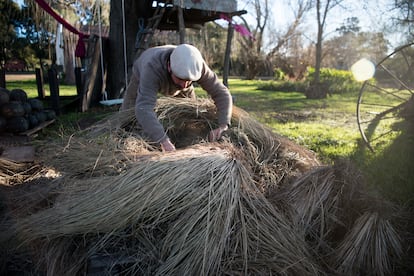 Colucci produce unos 20.000 kilos mensuales de harina de trigo, centeno y salvado de trigo.