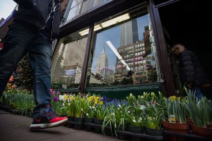 A pedestrian walks past plants displayed for sale in Manhattan's flower district in New York, U.S., on Thursday, March 24, 2016. With an El Nino in the equatorial Pacific, winter across the contiguous U.S. was the warmest in history, and new daily high temperatures were posted last week in Philadelphia, Trenton, Boston and New York's Central Park. Photographer: Michael Nagle/Bloomberg