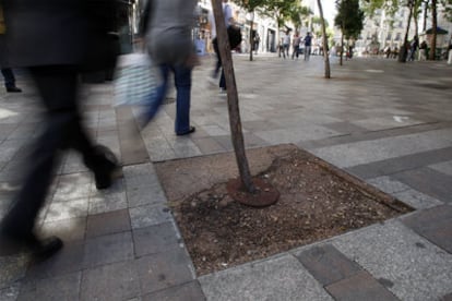 Estado del alcorque de uno de los árboles de la calle Montera.