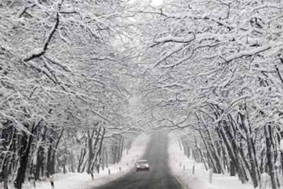 Un automvil recorre una carretera entre un bosque nevado en Klein Marzehns (este de Alemania).