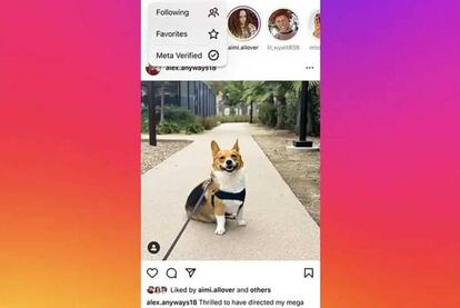 Opciones feed verificado Instagram