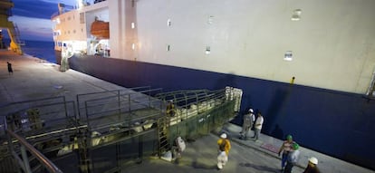 Carga de ganado en un barco en Vila do Conde (Brasil) con destino a China. 