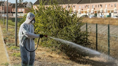 Un operario fumiga unos jardines en Coria del Río en un intento del Ayuntamiento por detener al virus del Nilo.