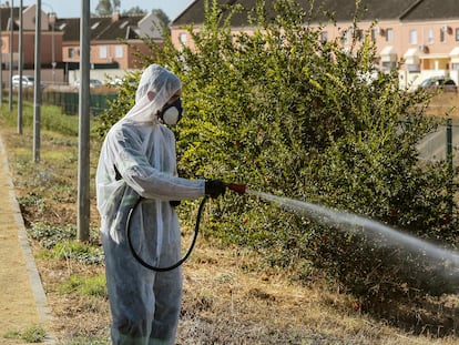 Un operario fumiga unos jardines en Coria del Río en un intento del Ayuntamiento por detener al virus del Nilo.