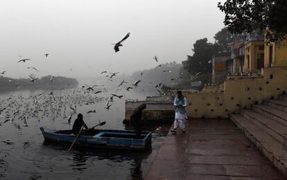Un indio se prepara para abordar un bote y alimentar a las gaviotas en el río Yamuna en Nueva Delhi (India).