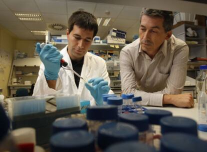 Los virólogos Alberto López-Bueno (izquierda) y Antonio Alcamí en su laboratorio.