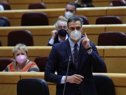 El presidente del Gobierno, Pedro Sánchez, durante una sesión de control al Gobierno en el Senado. EFE/Kiko Huesca