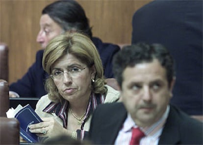 María Jesús Botella y Salvador Fuentes en un momento del pleno de ayer.