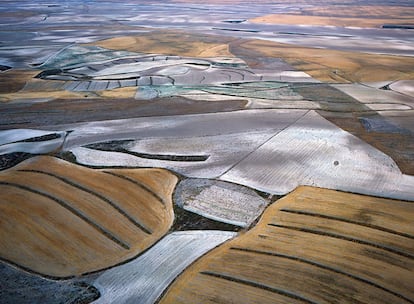 Campo de Cereales en Los Monegros.