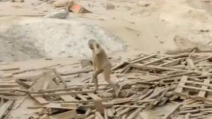 Footage of a woman miraculously escaping raging floods in Peru made headlines around the world earlier this month.