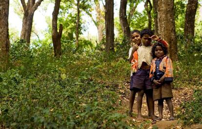 Niños soliga en un bosque dentro de una de las reservas de tigres de India.