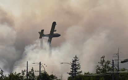 Un avión intenta apagar un incendio forestal que provocó evacuaciones cerca de Bayers Lake, Nueva Escocia, Canadá, el 12 de agosto. 