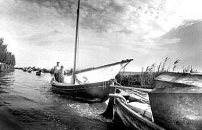 Una embarcación de vela latina durante una regata en L&#39;Albufera.