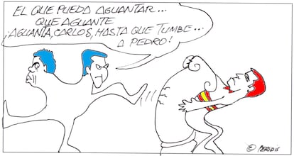 Peridis 31/07/25