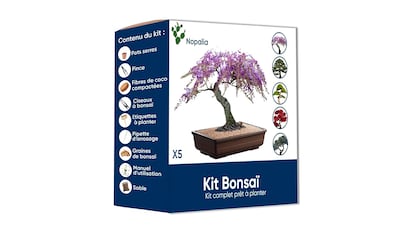 Kit para cultivar bonsais sobre fondo blanco.