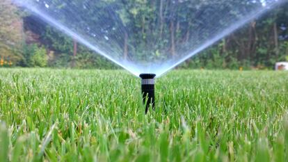 Un sistema de riego automático por aspersores para facilitar el mantenimiento del césped del jardín. GETTY IMAGES