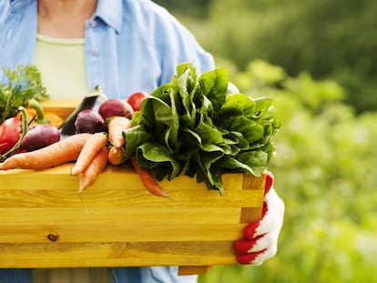 Las mujeres rurales sí emprenden más que los hombres