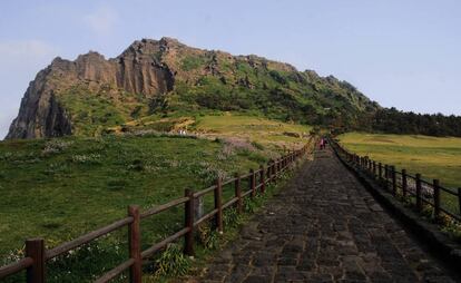 Sendero que conduce al inactivo volcán de Seongsan Ilchul-bong, en la isla de Jeju (Corea del Sur).