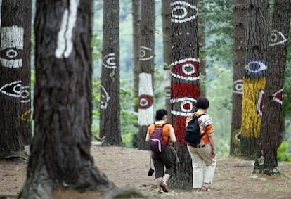 Visitantes pasean por el Bosque de Oma, en Bizkaia.