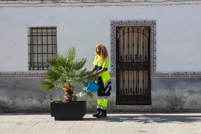 Una empleada del Ayuntamiento de Saucedilla riega las plantas de la plaza de la iglesia.