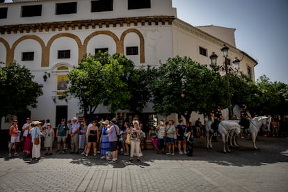 Turistas se protegen del sol bajo la sombra de los naranjos este lunes en Sevilla.
