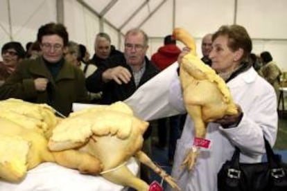 La tradicional Feira do Capón de Vilalba da hoy el pistoletazo de salida a las fiestas navideñas en la comarca chairega.