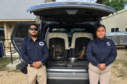 La Unidad Canina K9, en su traslado a la emergencia en Texas.