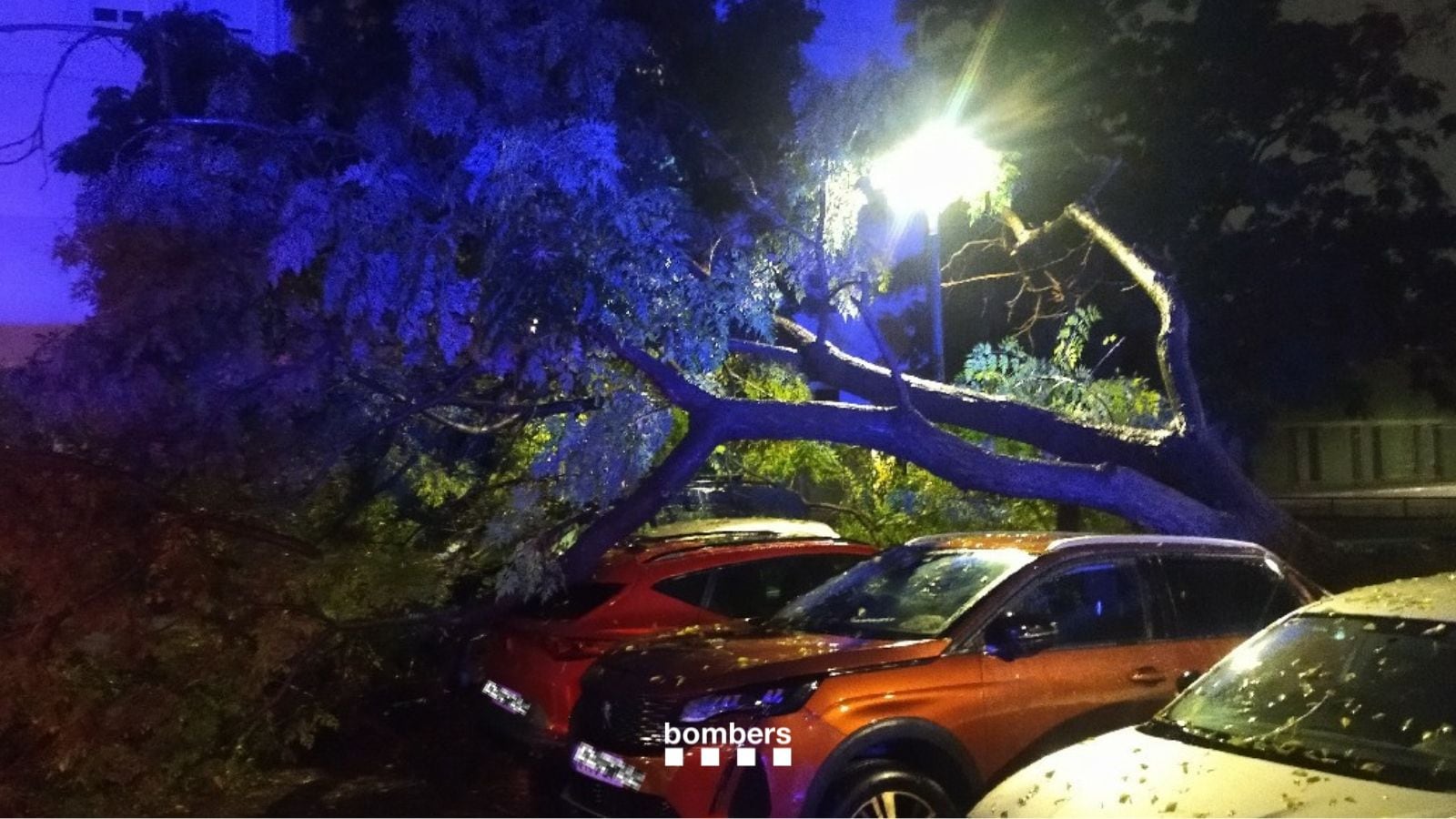 Un árbol caido sober vehículos en Cerdanyola del Vallés. / Bombers