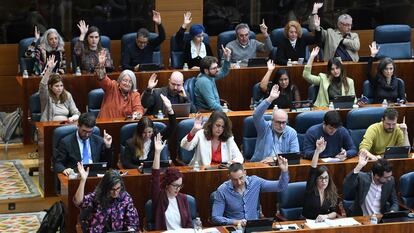 La bancada de Más Madrid vota a mano alzada durante un pleno en la Asamblea de Madrid, el 22 de diciembre.