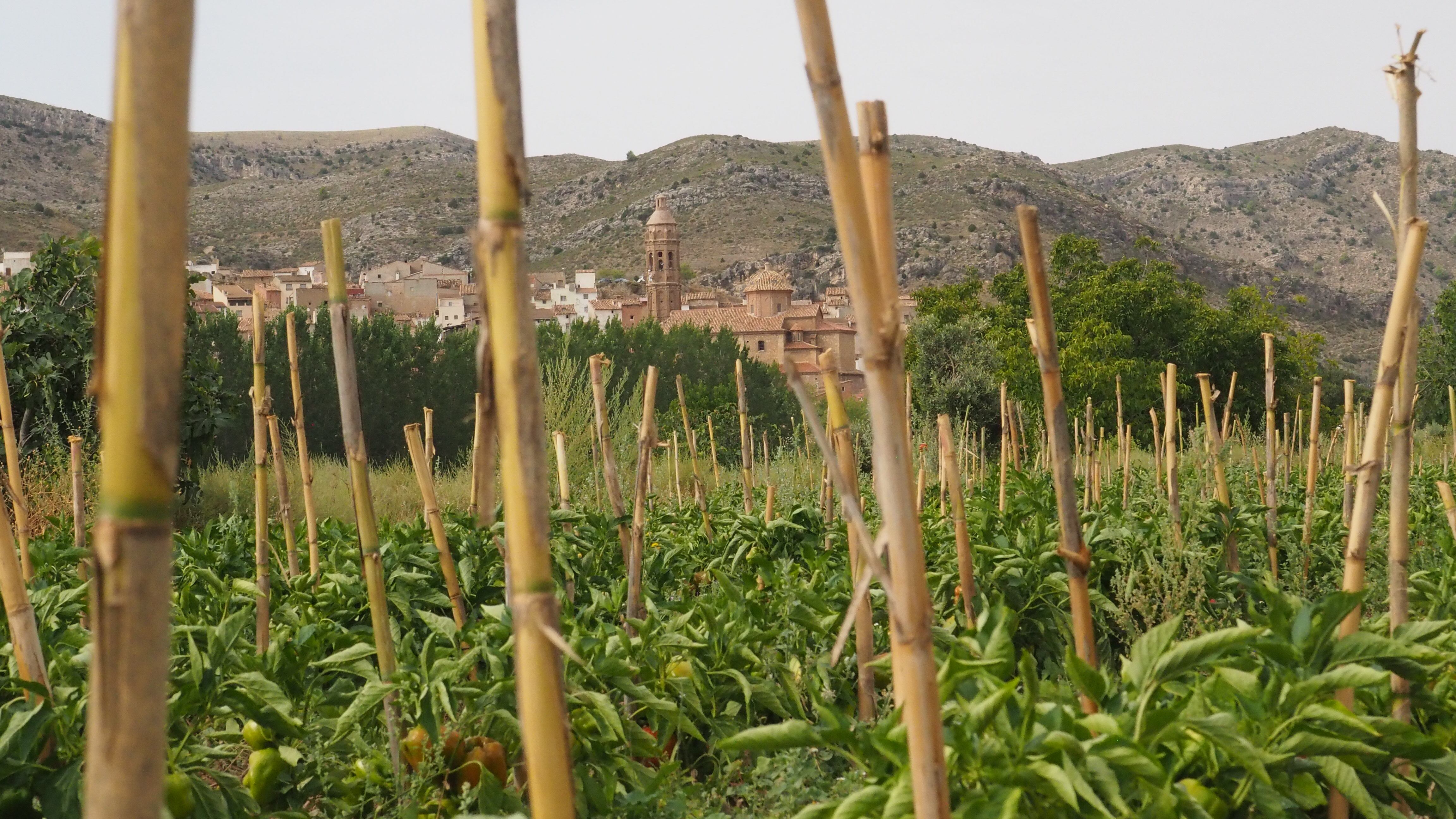 De ahí salen los pimientos